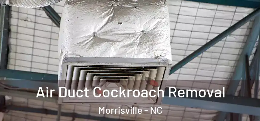  Air Duct Cockroach Removal Morrisville - NC