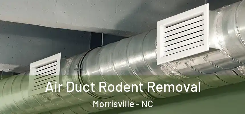  Air Duct Rodent Removal Morrisville - NC