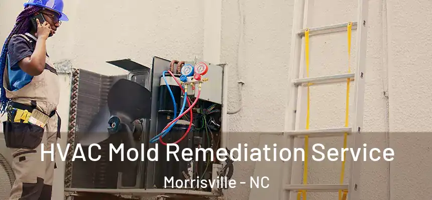  HVAC Mold Remediation Service Morrisville - NC