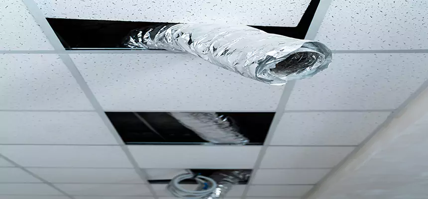 Affordable HVAC Sanitizing After Pest Removal in Morrisville