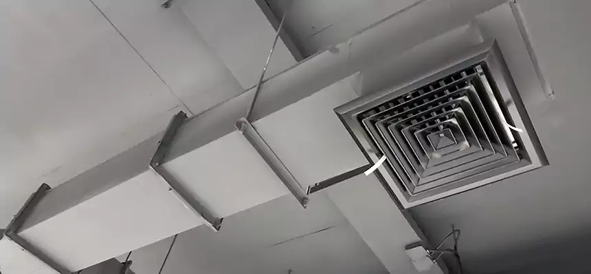 Our Rodent Droppings In Vents Services in Morrisville, NC