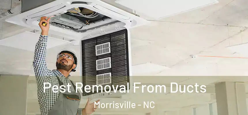  Pest Removal From Ducts Morrisville - NC