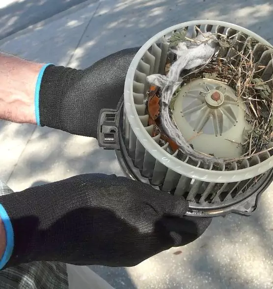 About Air Duct Mice Removal in Morrisville, NC