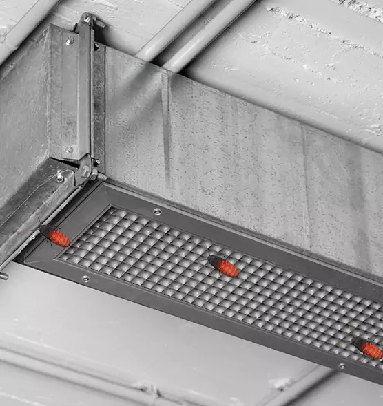 Affordable Insect Removal from Air Ducts in Morrisville, NC