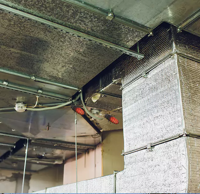 Why Homeowners & Businesses Trust Us in Morrisville, NC?