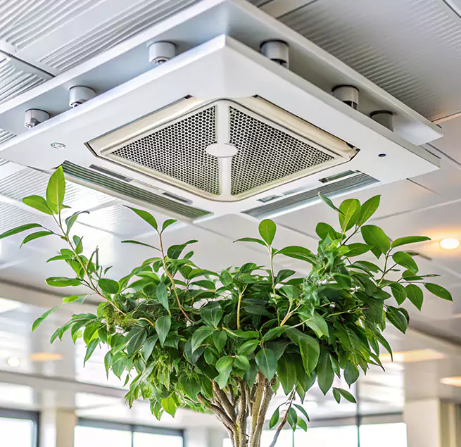 Why Homeowners & Businesses Trust Us in Morrisville, NC