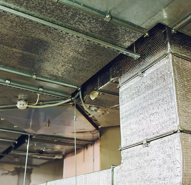 Why Homeowners & Businesses Trust Us in Morrisville, NC?