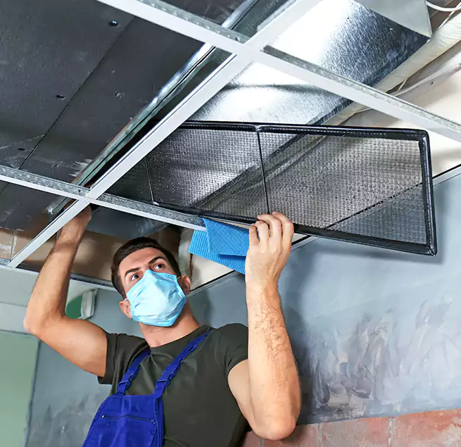 Why Homeowners Businesses Trust Us in Morrisville, NC